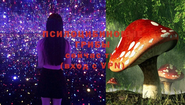 дистиллят марихуана Новозыбков