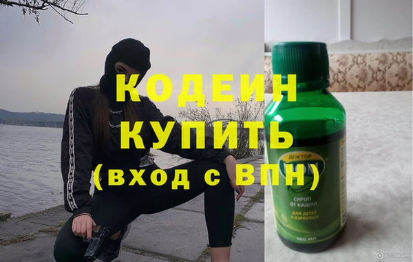 индика Горняк