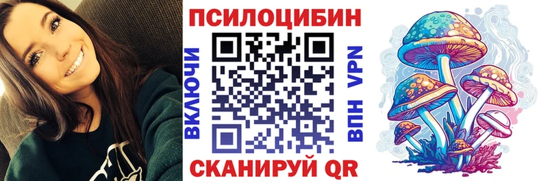 блэк спрут рабочий сайт  что такое наркотик  Мичуринск  Псилоцибиновые грибы мухоморы 