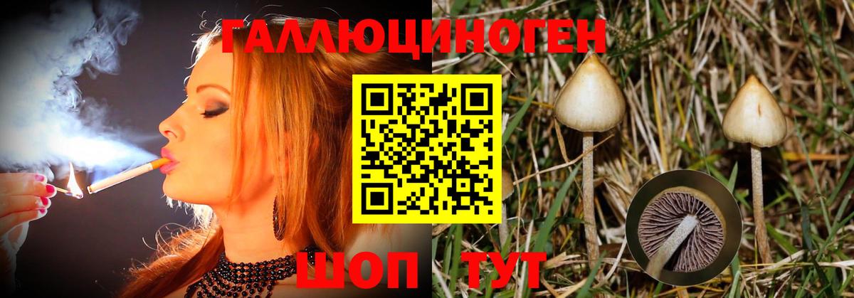 Псилоцибиновые грибы мухоморы Мичуринск