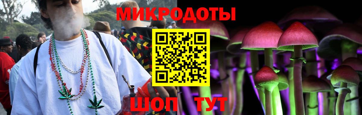 Галлюциногенные грибы Psilocybe  где купить   Мичуринск  Вход с VPN  Галлюциногенные грибы Psilocybe 